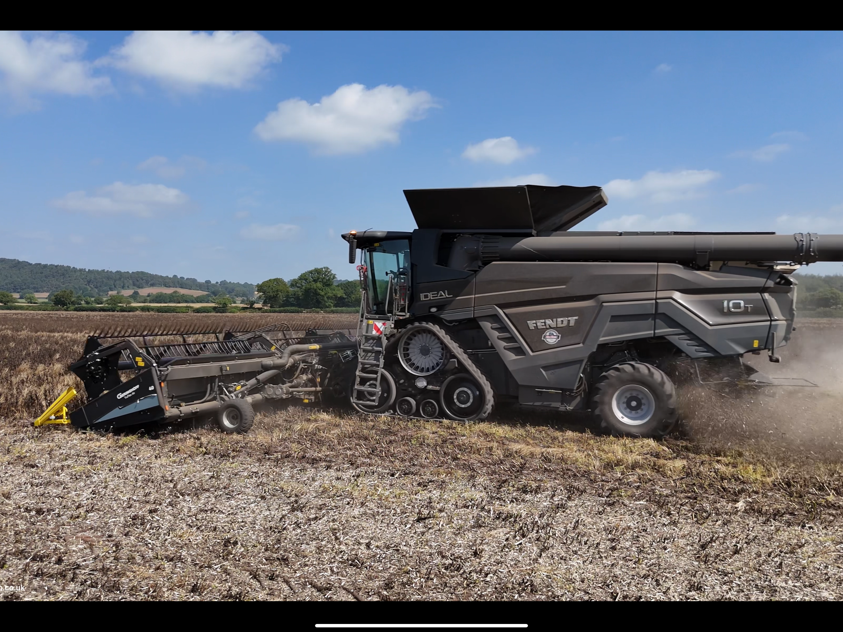 Harvesting Beans