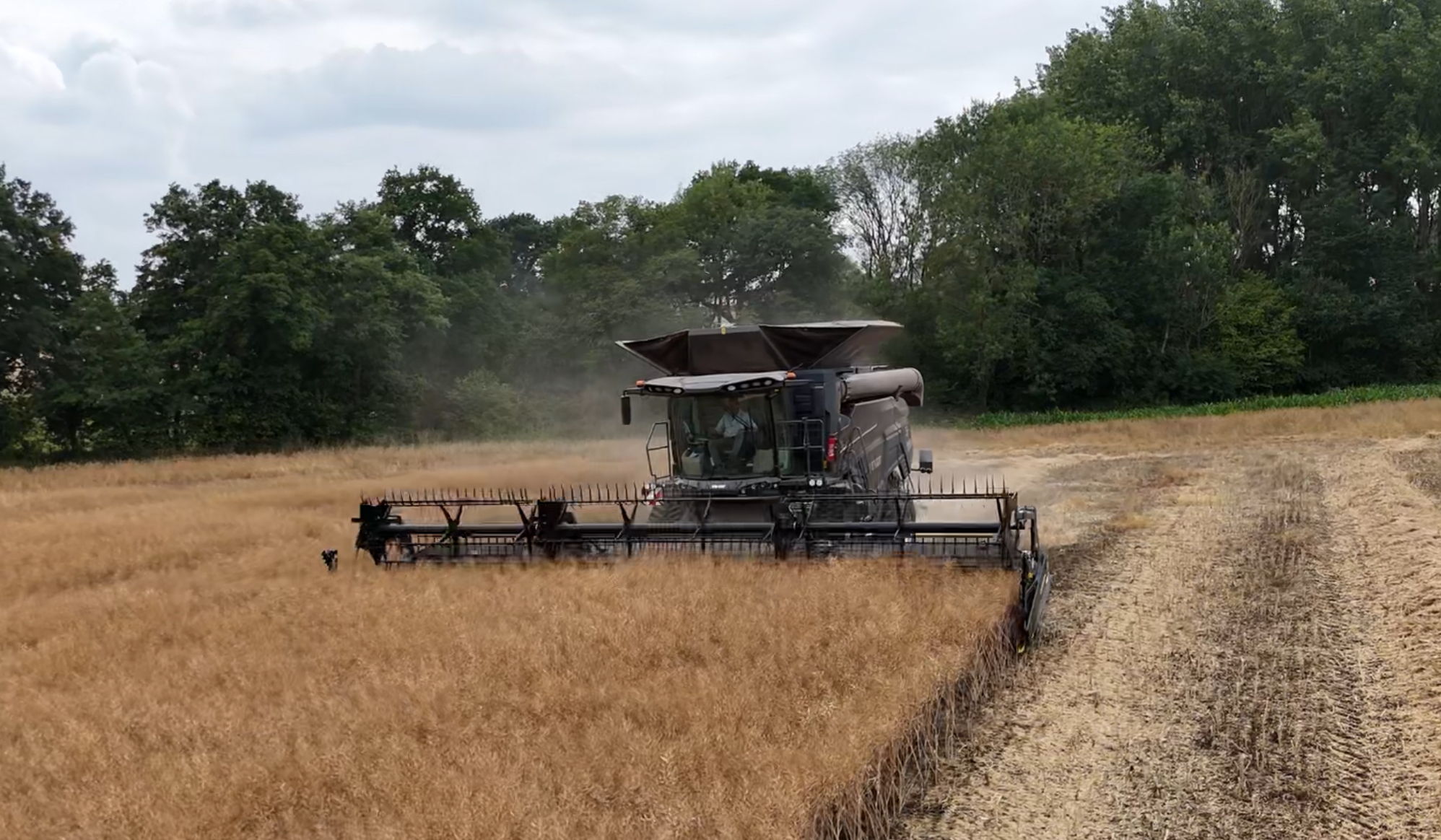 Combining Rape